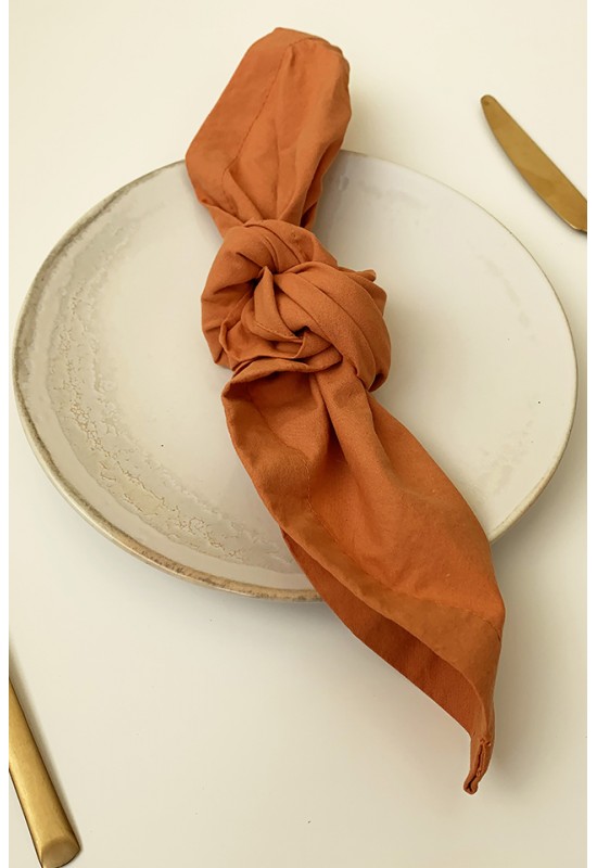 https://www.touchablelinen.com/image/cache/catalog/products/53/Cotton-napkins-Set-of-2-Burnt-orange-2-550x800.jpg